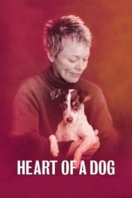 Heart of a Dog – Inimă de câine (2015)