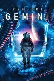 Project ‘Gemini’ (2022)
