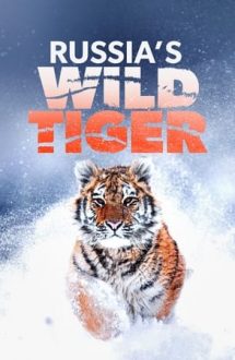 Russia’s Wild Tiger (2022)