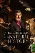 Fantastic Beasts: A Natural History – Animale fantastice: O istorie naturală (2022)