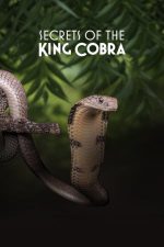 Secrets of the King Cobra (2010)