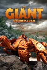The Giant Robber Crab (2019)