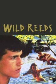 Wild Reeds – Stuful sălbatic (1994)