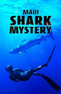 Maui Shark Mystery (2022)