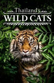 Thailand’s Wild Cats (2021)
