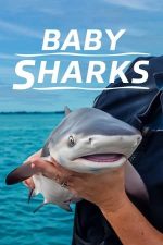Baby Sharks (2022)
