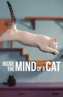 Inside the Mind of a Cat – În mintea pisicilor (2022)