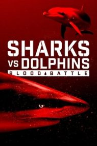 Sharks vs. Dolphins: Blood Battle – Rechini contra delfini (2020)