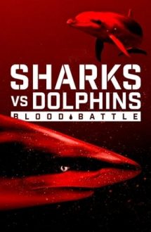 Sharks vs. Dolphins: Blood Battle – Rechini contra delfini (2020)