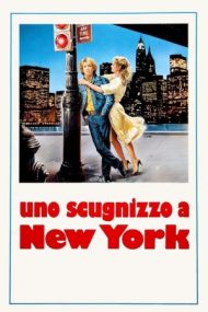 Neapolitan Boy in New York – Un băiat napolitan în New York (1984)