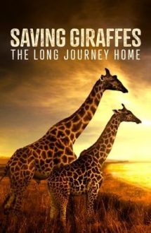 Saving Giraffes: The Long Journey Home (2022)