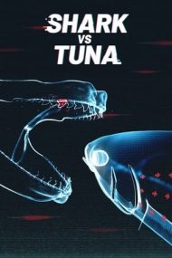 Shark vs Tuna – Rechin contra ton (2018)