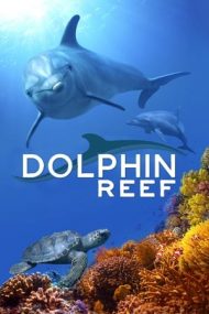 Dolphin Reef – Reciful delfinilor (2018)