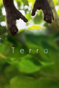 Terra (2015)
