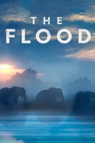 The Flood – Marea inundație (2018)