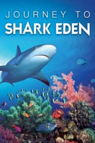 Journey to Shark Eden (2009)