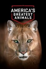 America’s Greatest Animals – Animalele Americii (2012)