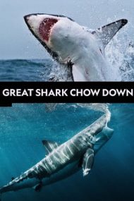 Great Shark Chow Down – Festin de rechin (2019)