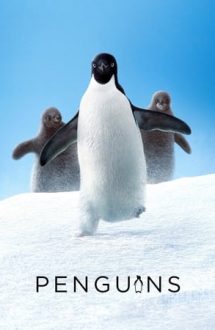 Penguins – Pinguinii (2019)