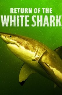 Return of the White Shark – Întoarcerea rechinului alb (2023)