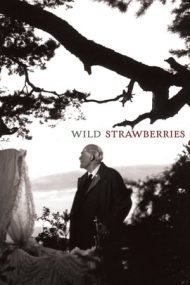Wild Strawberries – Fragii sălbatici (1957)