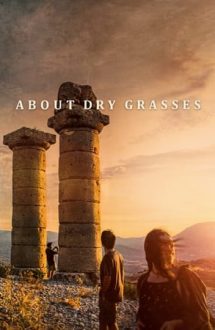 About Dry Grasses – Prin ierburi uscate (2023)